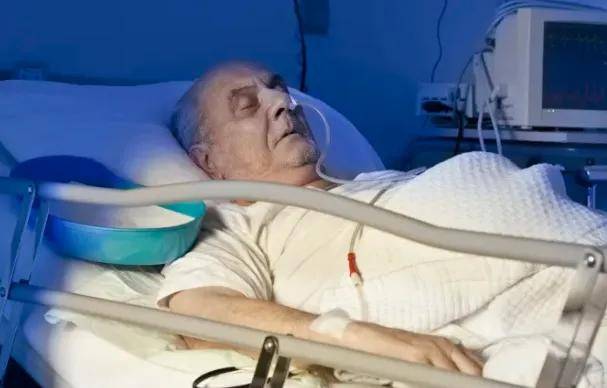 法国杯倒计时，萨克拉门托国王窗口期主帅复盘，细节引发关注，媒体盛赞，数据趋势出现新变化的简单介绍-开云体育官方网站